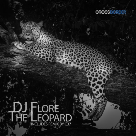 Leopard (Radio Edit) | Boomplay Music