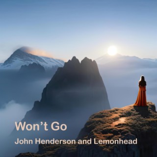 Won't Go ft. Lemonhead lyrics | Boomplay Music