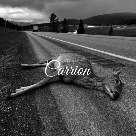 CARRION | Boomplay Music