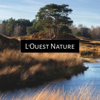 The Ouest Nature : musique de méditation celtique, composition d'eau