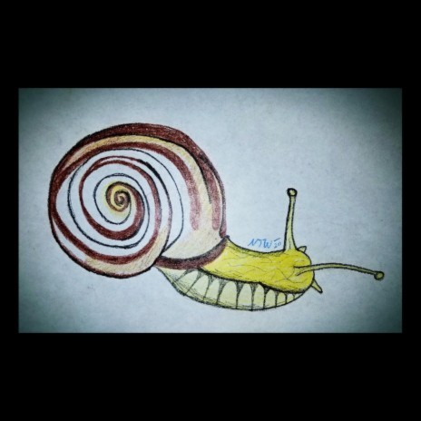 Conversation with a Snail | Boomplay Music