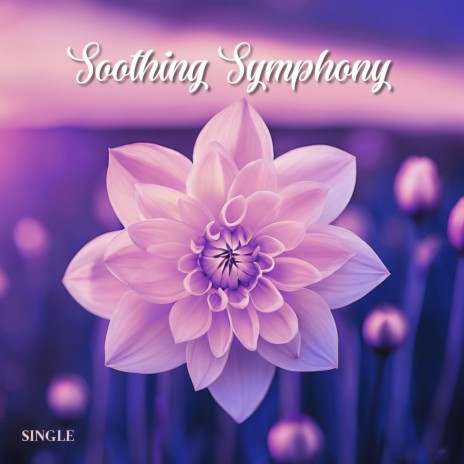 Soothing Symphony | Boomplay Music