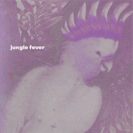 jungle fever ft. Sideluv | Boomplay Music