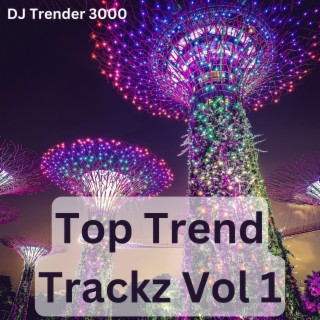 DJ Trender 3000