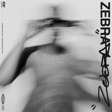 ZEBRA | Boomplay Music