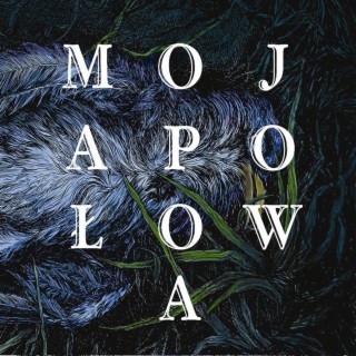 Mojapołowa