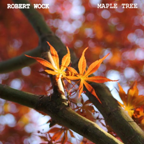 Maple Tree | Boomplay Music