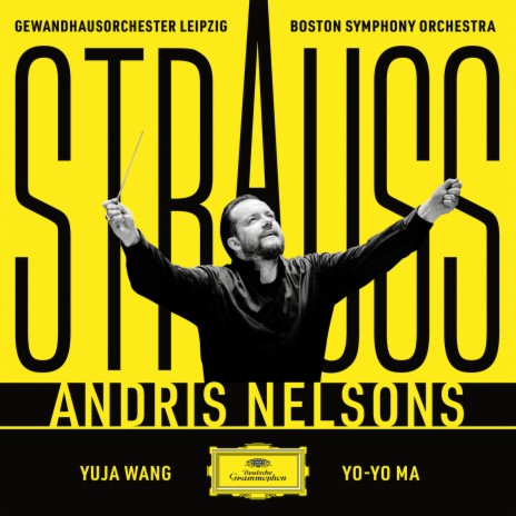 R. Strauss: Don Quixote, Op. 35, TrV 184: VIII. Var. 5. Sehr langsam ft. Boston Symphony Orchestra & Andris Nelsons | Boomplay Music