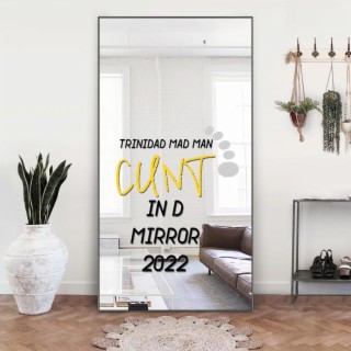 CUNT IN D MIRROR