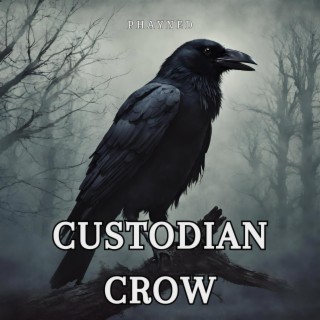 Custodian Crow lyrics | Boomplay Music