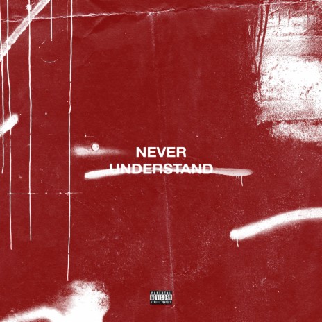 NEVER UNDERSTAND | Boomplay Music