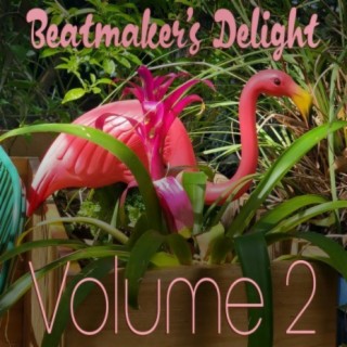 Beatmaker's Delight Volume 2