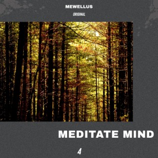 Meditate Mind Vol. 4