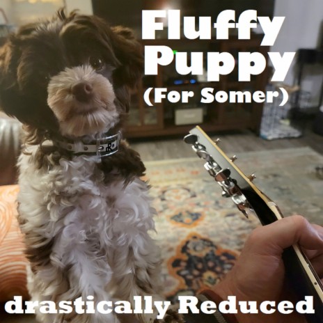 Fluffy Puppy (For Somer)