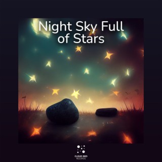 Night Sky Full of Stars