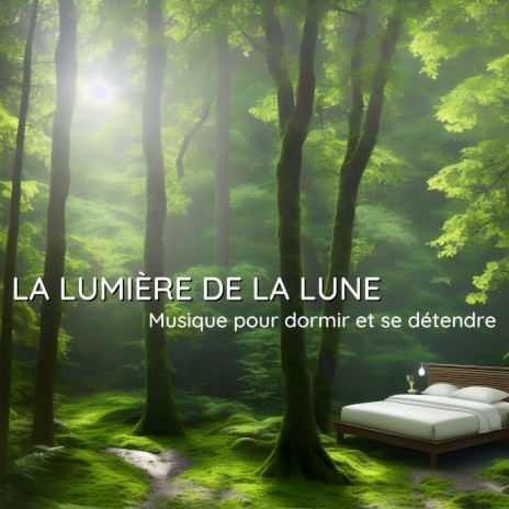 Douce Nuit - Musique douce MP3 Download & Lyrics