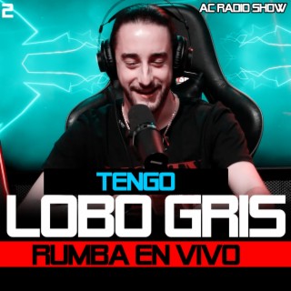 Tengo||Lobo Gris (Radio Edit)