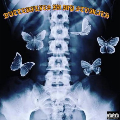 QGVWD - Butterflies in my Stomach ft. spiritrealm MP3 Download & Lyrics |  Boomplay