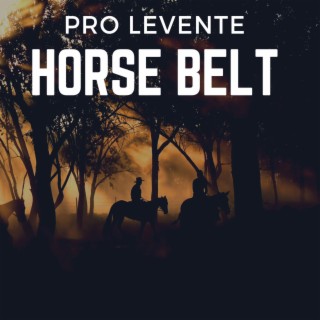 HORSE BELT