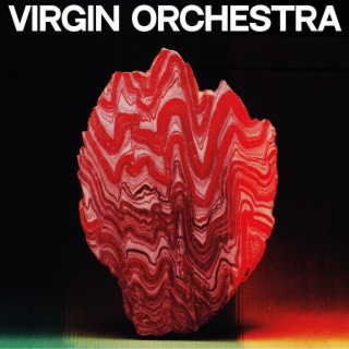 virgin orchestra