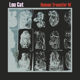 Lou Cat - Human Transfer IV (Original)