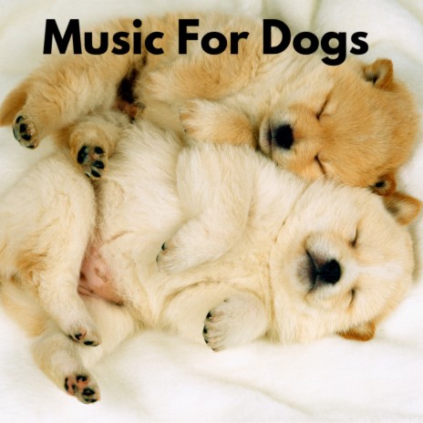 Zen Dog Music ft. Music For Dogs Peace, Relaxing Puppy Music & Calm Pets Music Academy