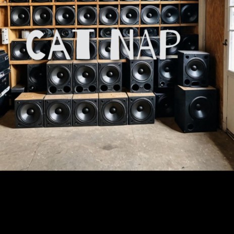 Cat Nap | Boomplay Music