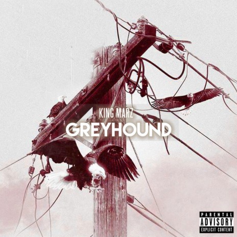 Greyhound | Boomplay Music