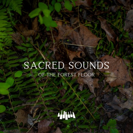 Sacred Sounds of the Forest Floor