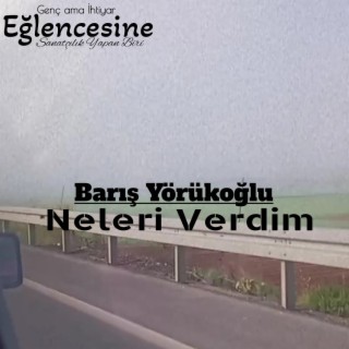 Neleri Verdim