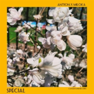 Special (feat. Miloka)