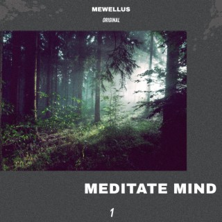 Meditate Mind Vol. 1