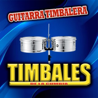 Guitarra Timbalera