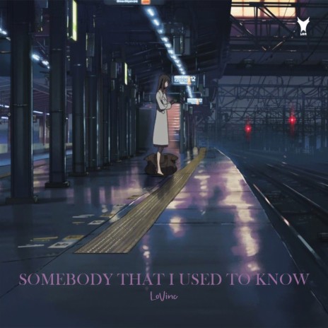 Somebody That I Used To Know | Boomplay Music