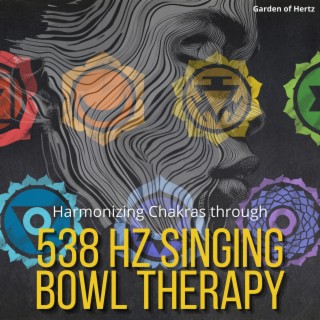 Harmonizing Chakras through 538 Hz Singing Bowl Therapy