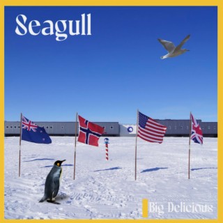 SEAGULL