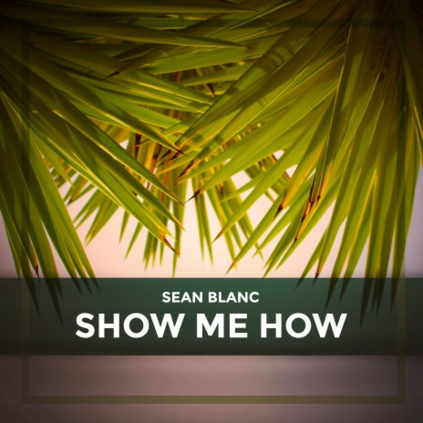 Show Me How | Boomplay Music