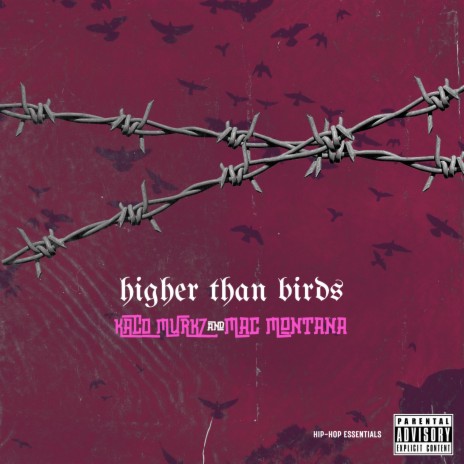 Higher Than Birds ft. Kaco Murkz | Boomplay Music