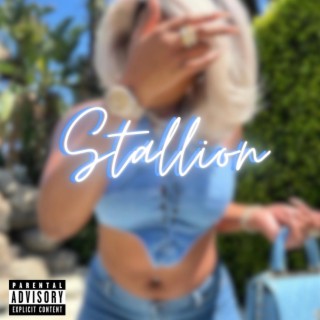 STALLION (Exclusive Version) lyrics | Boomplay Music