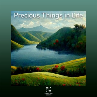 Precious Things in Life