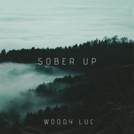 Sober Up | Boomplay Music