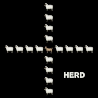 HERD