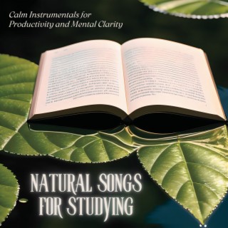 Natural Songs for Studying: Calm Instrumentals for Productivity and Mental Clarity