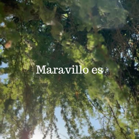 Maravillo es | Boomplay Music