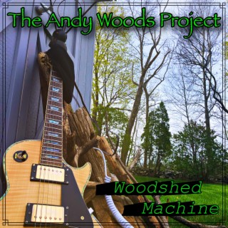 The Andy Woods Project