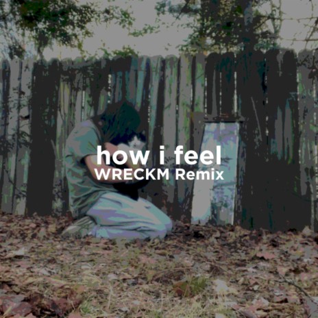 how i feel (WRECKM Remix) ft. WRECKM