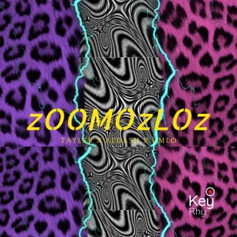 Zoomozloz ft. Aldash & CMLO | Boomplay Music