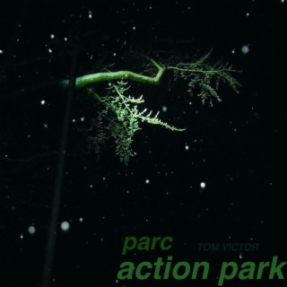 Action Park