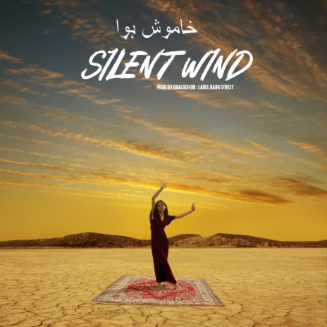 Silent Wind ft. Dark Street & Qbaloch QB | Boomplay Music