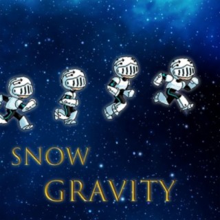 Snow Gravity